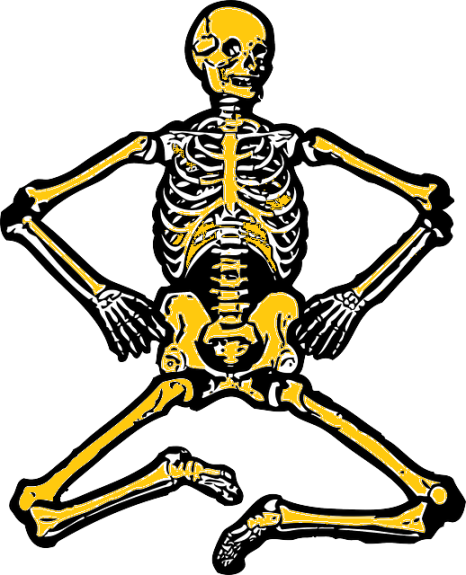 skeleton-29380_640 arta foamei